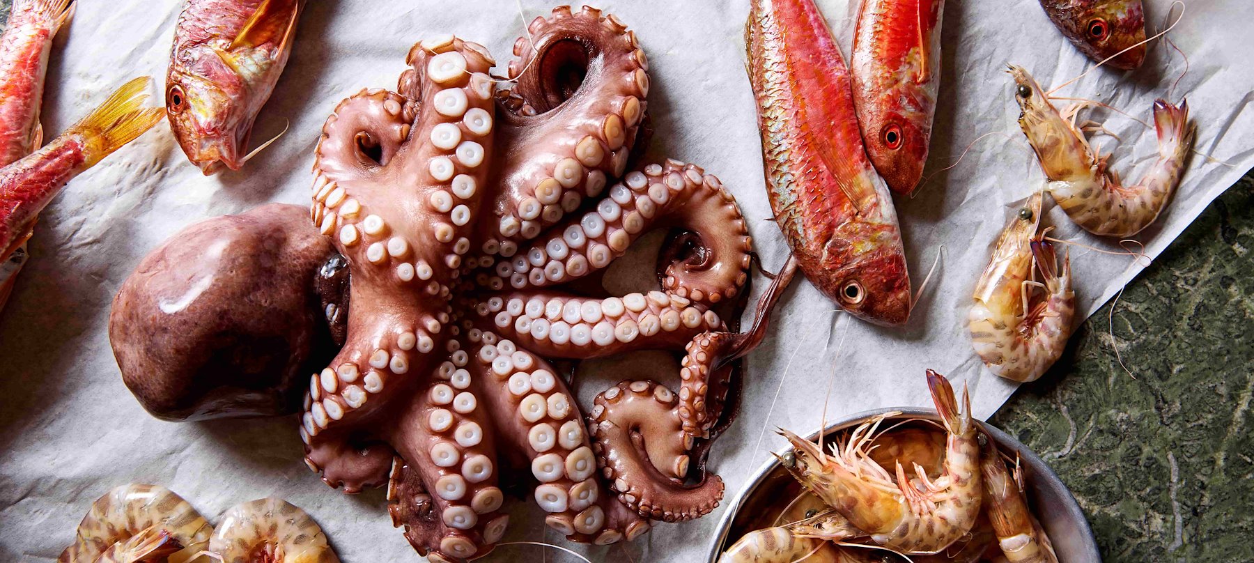 Octo Istanbul 